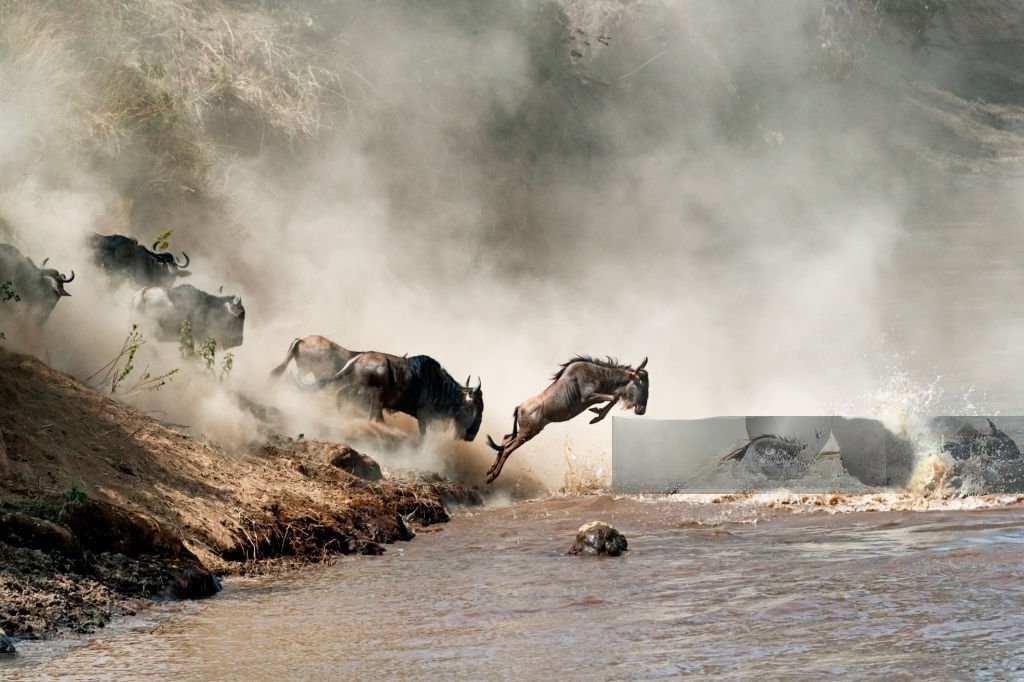 Maasai Mara